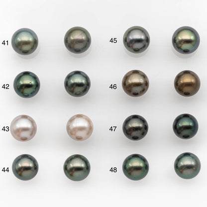 10-11mm Matching Pair Tahitian Pearl Round in High Luster with Blemish, Undrilled for Making Earring or Pendant, SKU # 2380TH