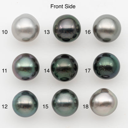 10-11mm Near Round Tahitian Pearl, Loose Undrilled with High Luster for Jewelry Making, SKU # 3142TH