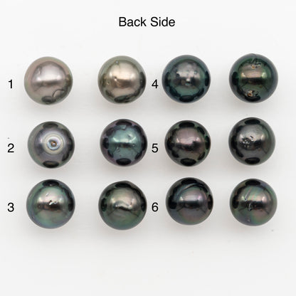11-12mm Near Round Tahitian Pearl Pairs, Matched Loose Undrilled for Making Earring, Natural Color and High Luster, SKU # 3147TH