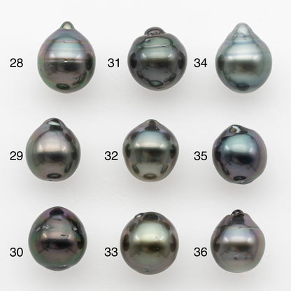 9-10mm Tahitian Pearl Natural Color with Minor Blemishes, Loose Undrilled for Jewelry Making, SKU # 3148TH