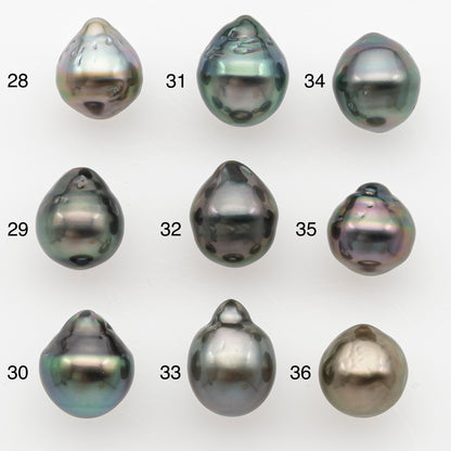9-10mm Tahitian Pearl Natural Color with Minor Blemishes, Loose Undrilled for Jewelry Making, SKU # 3150TH