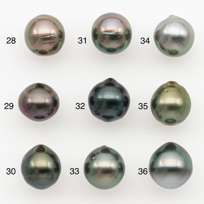 9-10mm Tahitian Pearl Natural Color with Minor Blemishes, Loose Undrilled for Jewelry Making, SKU # 3154TH