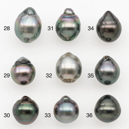 9-10mm Tahitian Pearl Natural Color with Minor Blemishes, Loose Undrilled for Jewelry Making, SKU # 3159TH