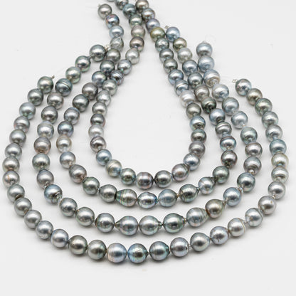 10-11 and 11-12mm Tahitian Pearl in Full Strand, Natural Colors with High Luster, for Jewelry Making, SKU # 2974TH