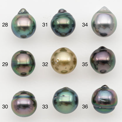 8-9mm Tahitian Pearl Natural Color with High Luster, Loose Undrilled for Jewelry Making, SKU # 3184TH