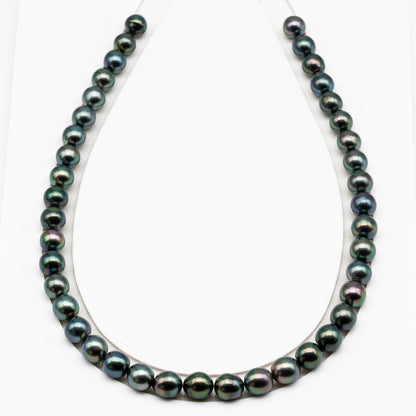 9-10mm Tahitian Pearl in Full Strand (No Hole), Natural Colors with High Luster, Temporarily Strung Pearls for Jewelry Making, SKU # 3189TH