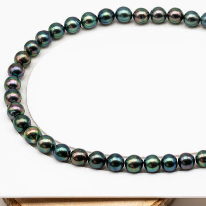 9-10mm Tahitian Pearl in Full Strand (No Hole), Natural Colors with High Luster, Temporarily Strung Pearls for Jewelry Making, SKU # 3191TH