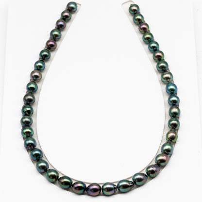 9-10mm Tahitian Pearl in Full Strand (No Hole), Natural Colors with High Luster, Temporarily Strung Pearls for Jewelry Making, SKU # 3193TH