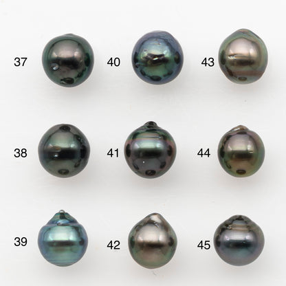 8-9mm Tahitian Pearl, Loose Undrilled with High Luster and Blemishes for Jewelry Making, SKU # 2983TH