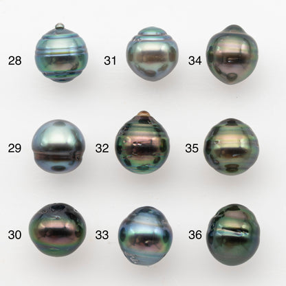 9-10mm Tahitian Pearl, Loose Undrilled with High Luster and Blemishes for Jewelry Making, SKU # 2987TH