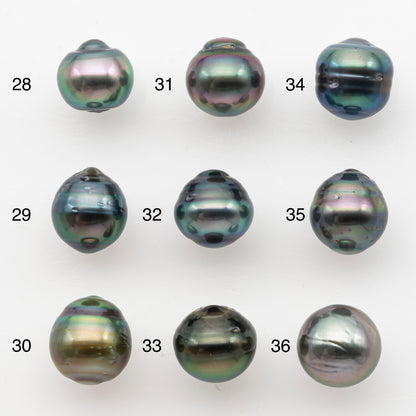 9-10mm Tahitian Pearl, Loose Undrilled with High Luster and Blemishes for Jewelry Making, SKU # 2988TH