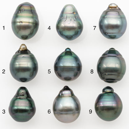 11-12mm Tahitian Pearl Natural Color with Minor Blemishes, Loose Undrilled for Jewelry Making, SKU # 3262TH