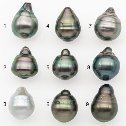 11-12mm Tahitian Pearl Natural Color with Minor Blemishes, Loose Undrilled for Jewelry Making, SKU # 3263TH