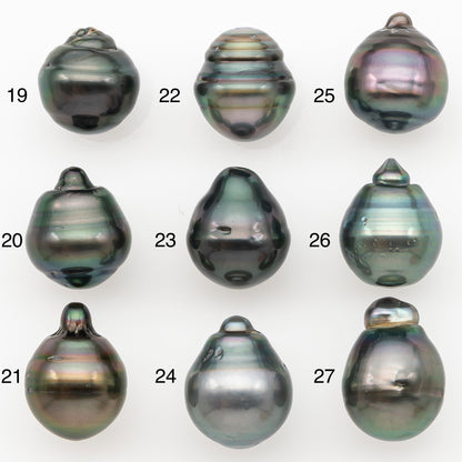 11-12mm Tahitian Pearl Natural Color with Minor Blemishes, Loose Undrilled for Jewelry Making, SKU # 3263TH