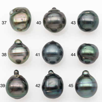 11-12mm Tahitian Pearl Natural Color with Minor Blemishes, Loose Undrilled for Jewelry Making, SKU # 3263TH