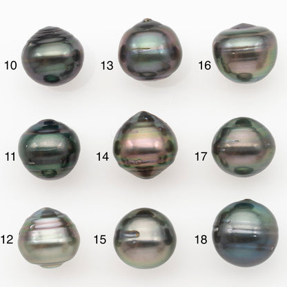 11-12mm Tahitian Pearl Natural Color with Minor Blemishes, Loose Undrilled for Jewelry Making, SKU # 3264TH