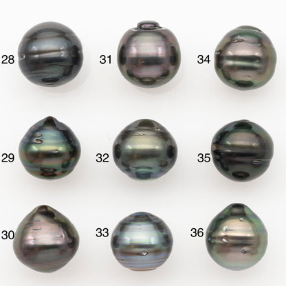 11-12mm Tahitian Pearl Natural Color with Minor Blemishes, Loose Undrilled for Jewelry Making, SKU # 3264TH