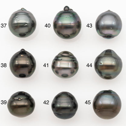 11-12mm Tahitian Pearl Natural Color with Minor Blemishes, Loose Undrilled for Jewelry Making, SKU # 3264TH