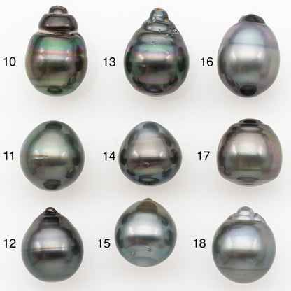 11-12mm Tahitian Pearl Natural Color with Minor Blemishes, Loose Undrilled for Jewelry Making, SKU # 3265TH