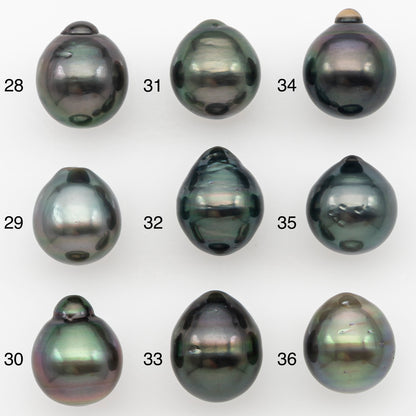 10-11mm Tahitian Pearl Natural Color with Minor Blemishes, Loose Undrilled for Jewelry Making, SKU # 3286TH
