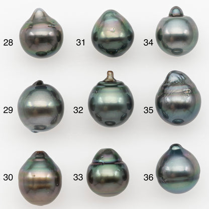 10-11mm Tahitian Pearl Natural Color with Minor Blemishes, Loose Undrilled for Jewelry Making, SKU # 3288TH
