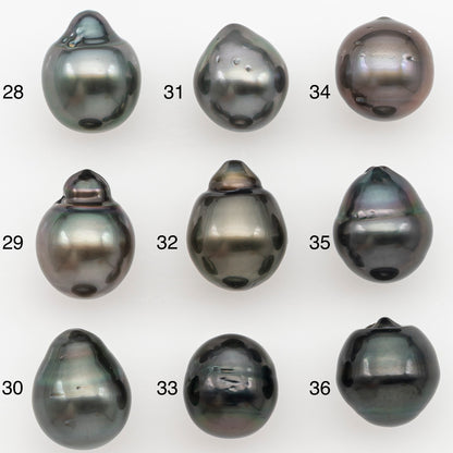 10-11mm Tahitian Pearl Natural Color with Minor Blemishes, Loose Undrilled for Jewelry Making, SKU # 3289TH