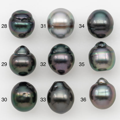 10-11mm Tahitian Pearl Natural Color with Minor Blemishes, Loose Undrilled for Jewelry Making, SKU # 3302TH