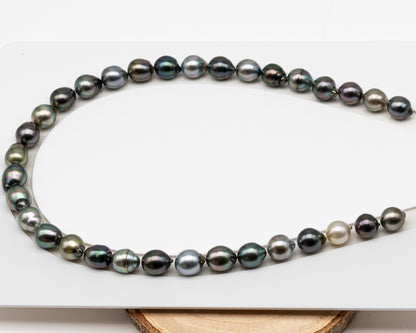 10-11mm Tahitian Pearl in Full Strand (No Hole), Natural Colors , Temporarily Strung Black Pearls for Jewelry Making, SKU # 3309TH