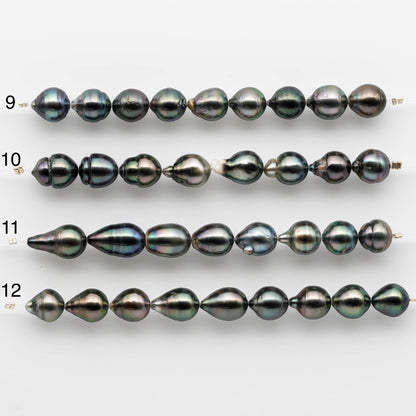 9.5-10mm Tahitian Pearl Drops in All Natural Colors and High Lusters with Minor Blemishes fro Jewelry Making, SKU # 1813TH