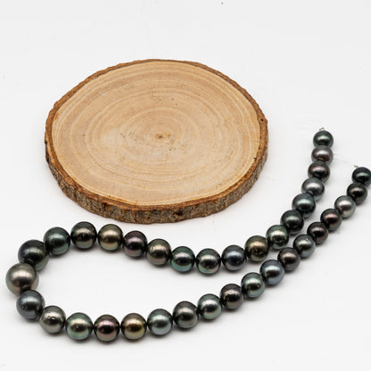 9.7-14.6mmmm Tahitian Pearl in Full Strand, Natural Colors with High Luster, Temporarily Strung Black Pearls for Jewelry Making, SKU # 2999TH