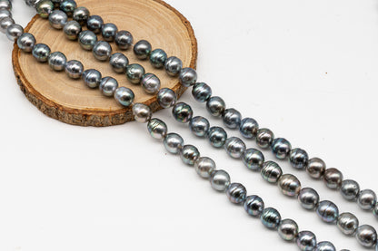 10-11mm Tahitian Pearl in Full Strand, Natural Colors with High Luster, for Jewelry Making, SKU # 3006TH