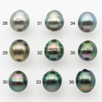 10-11mm Tahitian Pearl, Loose Undrilled with High Luster and Minor Blemishes for Jewelry Making, SKU # 3023TH