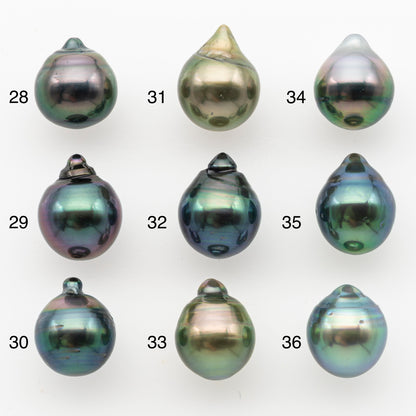 10-11mm Tahitian Pearl, Loose Undrilled with High Luster and Minor Blemishes for Jewelry Making, SKU # 3024TH