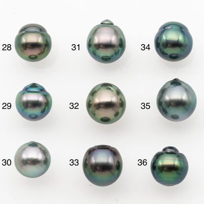 9-10mm Tahitian Pearl, Loose Undrilled with High Luster and Minor Blemishes for Jewelry Making, SKU # 3027TH