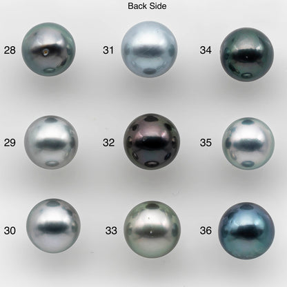 9-10mm AAA Round Tahitian Pearl in Natural Color and Very Nice Luster, Single Piece Loose Undrilled for Making Jewelry SKU # 2140TH