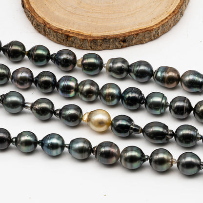 12-13mm Tahitian Pearl in Full Strand, Natural Colors with High Luster, Temporarily Strung Black Pearls for Jewelry Making, SKU # 3036TH