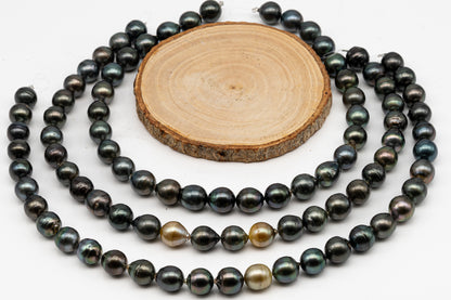 12-13mm Tahitian Pearl in Full Strand, Natural Colors with High Luster, Temporarily Strung Black Pearls for Jewelry Making, SKU # 3037TH