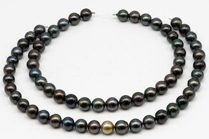 12-13mm Tahitian Pearl in Full Strand, Natural Colors with High Luster, Temporarily Strung Black Pearls for Jewelry Making, SKU # 3038TH