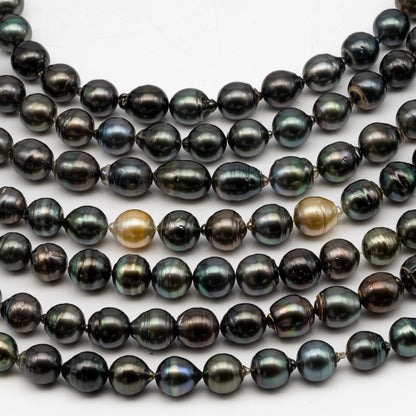 11-12mm Tahitian Pearl in Full Strand, Natural Colors with High Luster, Temporarily Strung Black Pearls for Jewelry Making, SKU # 3041TH