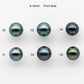 8-10mm Tahitian Pearl Round with High Luster and Natural Color with Minor Blemishes, Loose Single Piece Undrilled, SKU # 2150TH