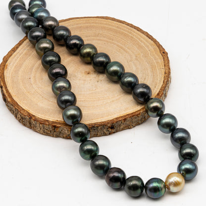 11-12mm Tahitian Pearl in Full Strand, Natural Colors with High Luster, Temporarily Strung Black Pearls for Jewelry Making, SKU # 3043TH