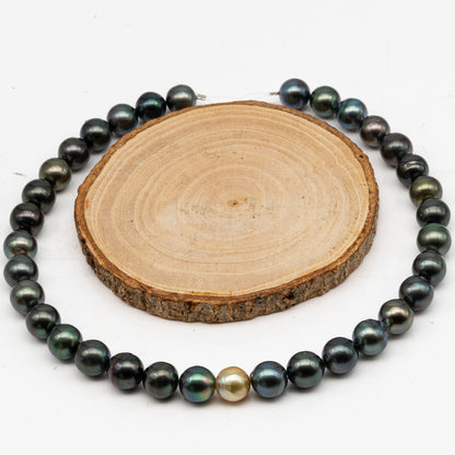 11-12mm Tahitian Pearl in Full Strand, Natural Colors with High Luster, Temporarily Strung Black Pearls for Jewelry Making, SKU # 3043TH