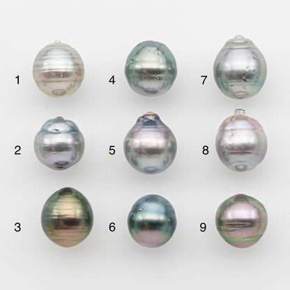 11-12mm Tahitian Pearl, Loose Undrilled with High Luster and Blemishes for Jewelry Making, SKU # 2922TH