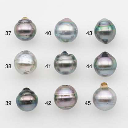 11-12mm Tahitian Pearl, Loose Undrilled with High Luster and Blemishes for Jewelry Making, SKU # 2922TH