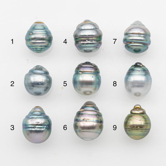 11-12mm Tahitian Pearl, Loose Undrilled with High Luster and Blemishes for Jewelry Making, SKU # 2923TH