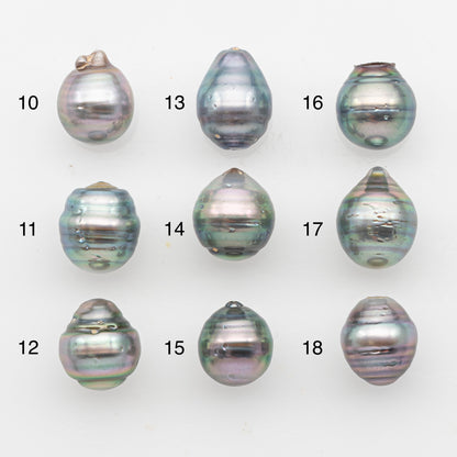 11-12mm Tahitian Pearl, Loose Undrilled with High Luster and Blemishes for Jewelry Making, SKU # 2923TH