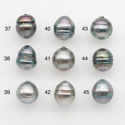 11-12mm Tahitian Pearl, Loose Undrilled with High Luster and Blemishes for Jewelry Making, SKU # 2924TH