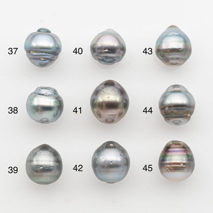11-12mm Tahitian Pearl, Loose Undrilled with High Luster and Blemishes for Jewelry Making, SKU # 2925TH
