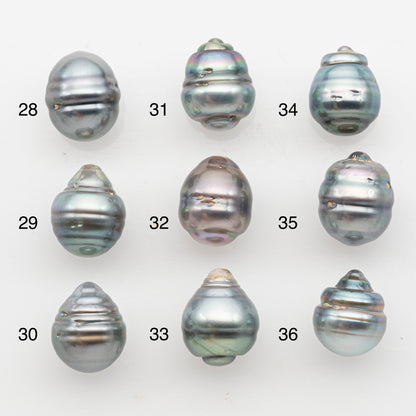 11-12mm Tahitian Pearl, Loose Undrilled with High Luster and Blemishes for Jewelry Making, SKU # 2926TH
