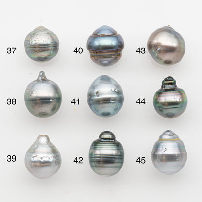 11-12mm Tahitian Pearl, Loose Undrilled with High Luster and Blemishes for Jewelry Making, SKU # 2926TH
